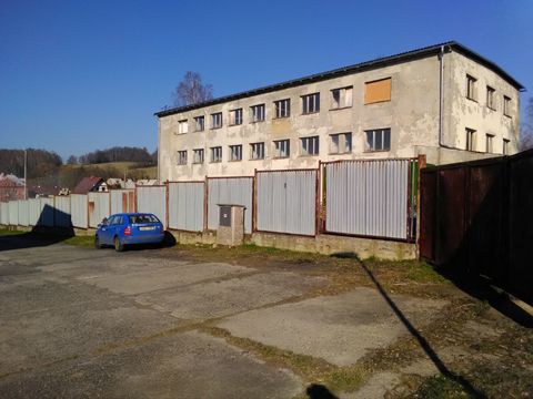 Foto 50